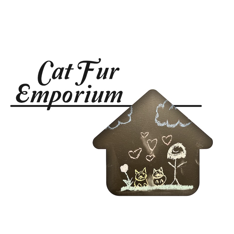 'Cat Fur Emporium' zine cover, a chalkboard drawing inside a house shape of a woman and two cats standing on grass with clouds above them. The words 'Cat Fur Emporium' are big, black, and in a script typeface.