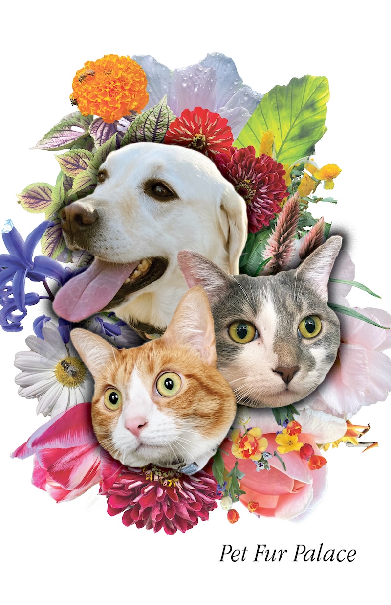 'Runaway' zine cover featuring a full-page photo of an abandoned billboard in the desert at dusk. The title is present along with the caption, 'a film photography zine about the desert'.