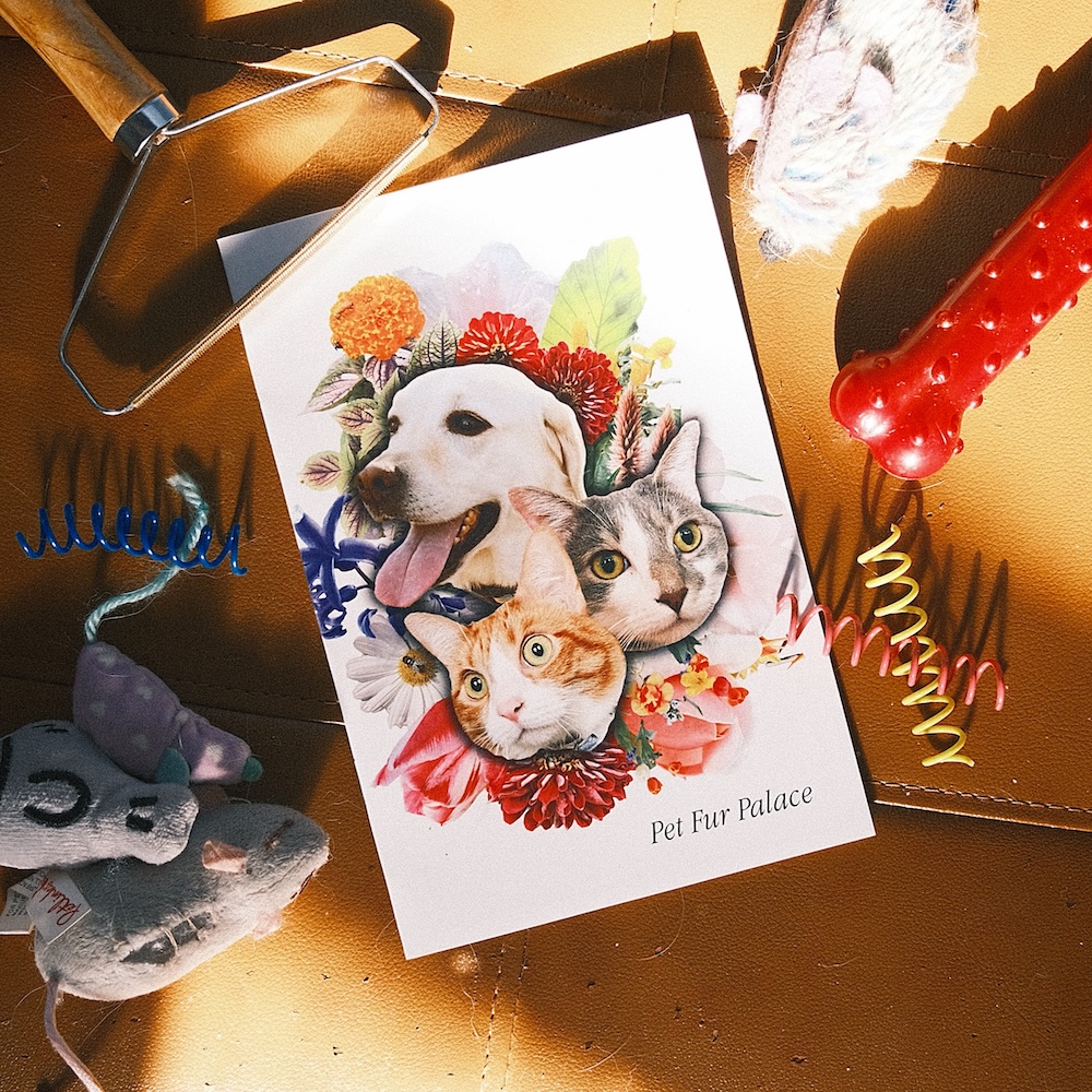 'Pet Fur Palace' zine cover, three animal head cutouts (two cats and one dog) set on top of a floral collage.