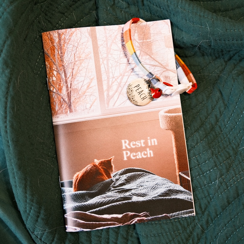 'Rest in Peach' zine cover featuring a full-page photo of an orange cat loafed on a bed with a green blanket, looking out the window. The title is in serif letters and gently is glowing white.