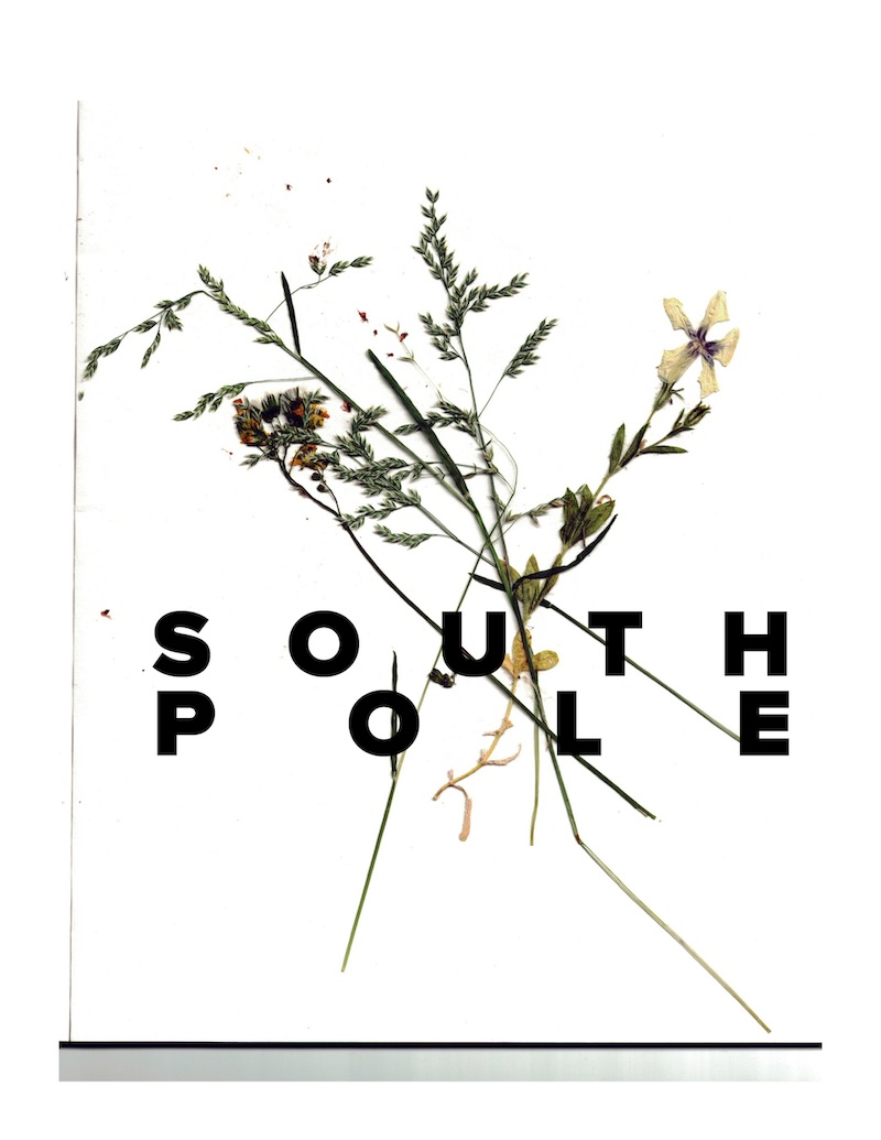 'South Pole' zine cover, a scanned photo of some pressed small weed flowers with the text South Pole written in big, bold, black, capital letters.