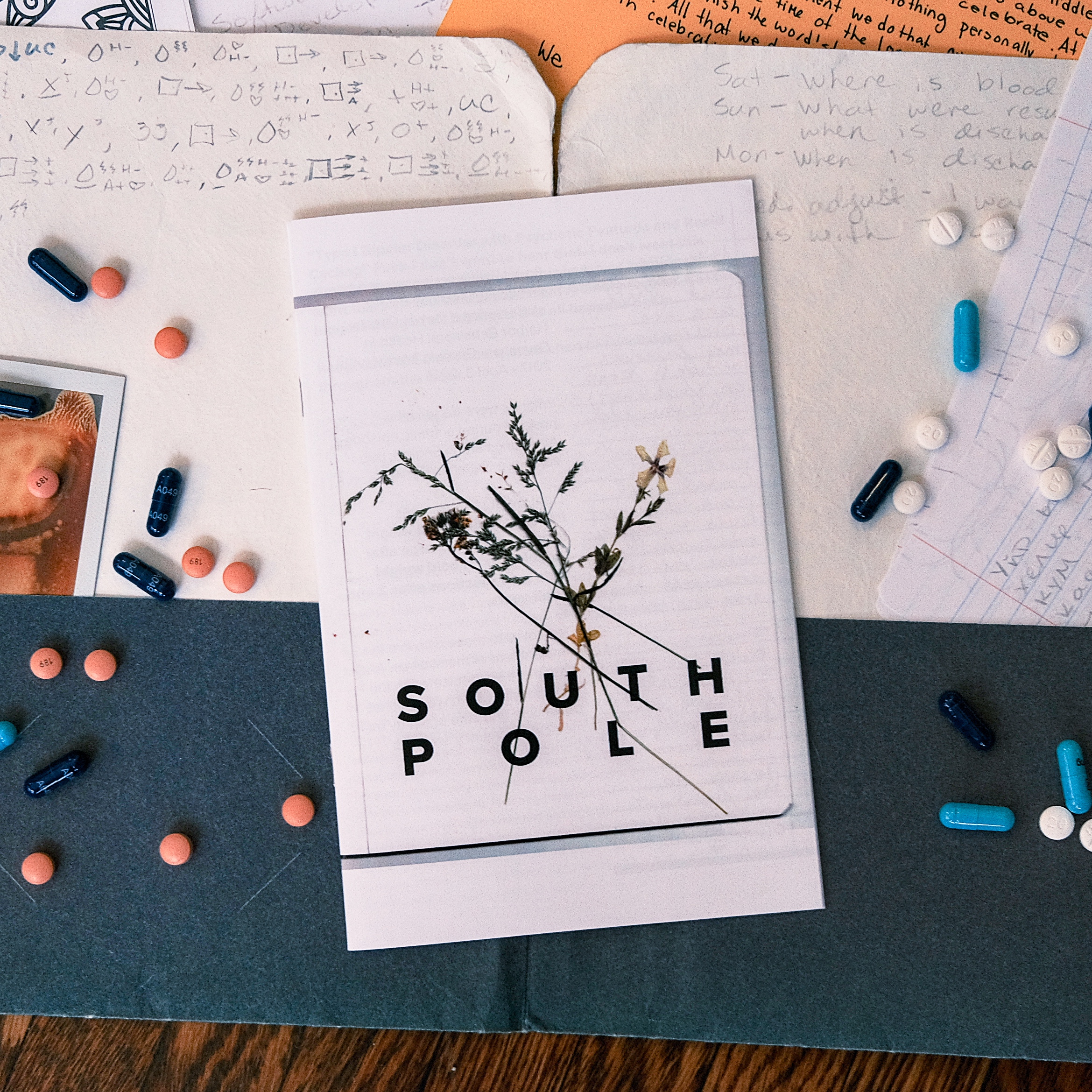 'South Pole' zine cover, a scanned photo of some pressed small weed flowers with the text South Pole written in big, bold, black, capital letters.